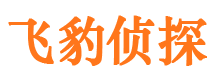 桦甸市侦探调查公司